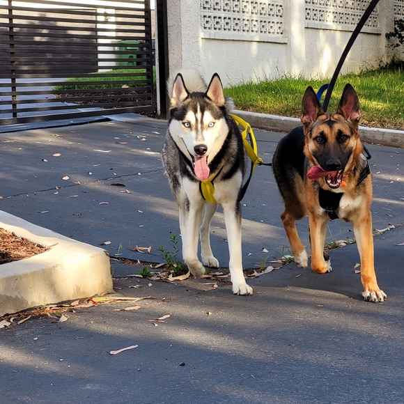 ✨️ IVETT'S LIVE NOTIFICATION✨️ DESIGNER & VINTAGE VERDICT✨️ - Picture 5 of 11